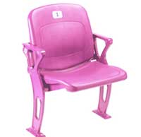 Pink Arena Seat