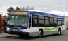 Niagara Falls Transit bus