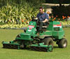 Person cutting the grass