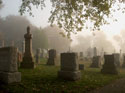Grave stones in a cemetery
