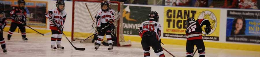 Youth hockey team in Niagara Falls at the Gale Centre