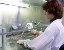 Biotech