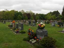 Flower Bed Program example