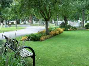 Flower bed and bench in the cemetery