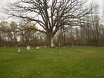 Lyon's Creek Cemetery