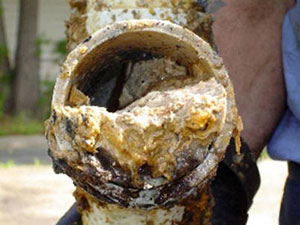 Cut away from a clogged sewer pipe that is full of grease