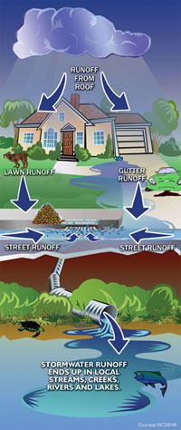 Graphic of the path storm water takes to the catch basin - Courtesy of NCDENR