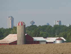 Agricultural view with City background
